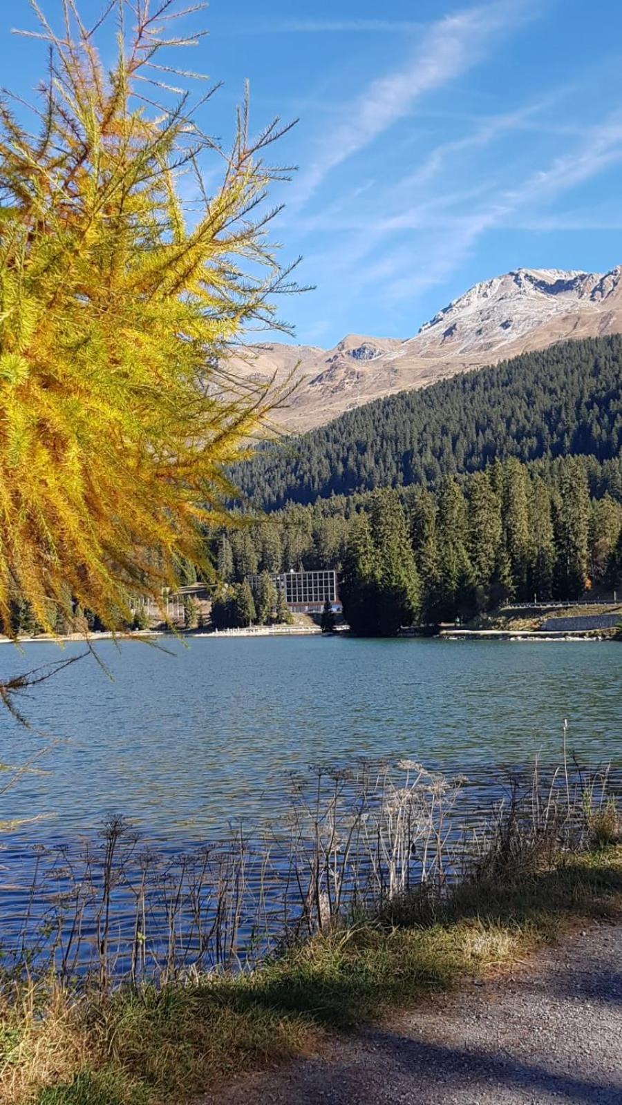 Appartamento Winterzsuber Lenzerheide